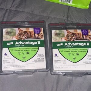 Elan Advantage II Large Cat Flea Treatment - Green and White Packaging